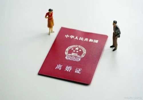 湖州调查公司：外甥去世舅舅有继承权吗